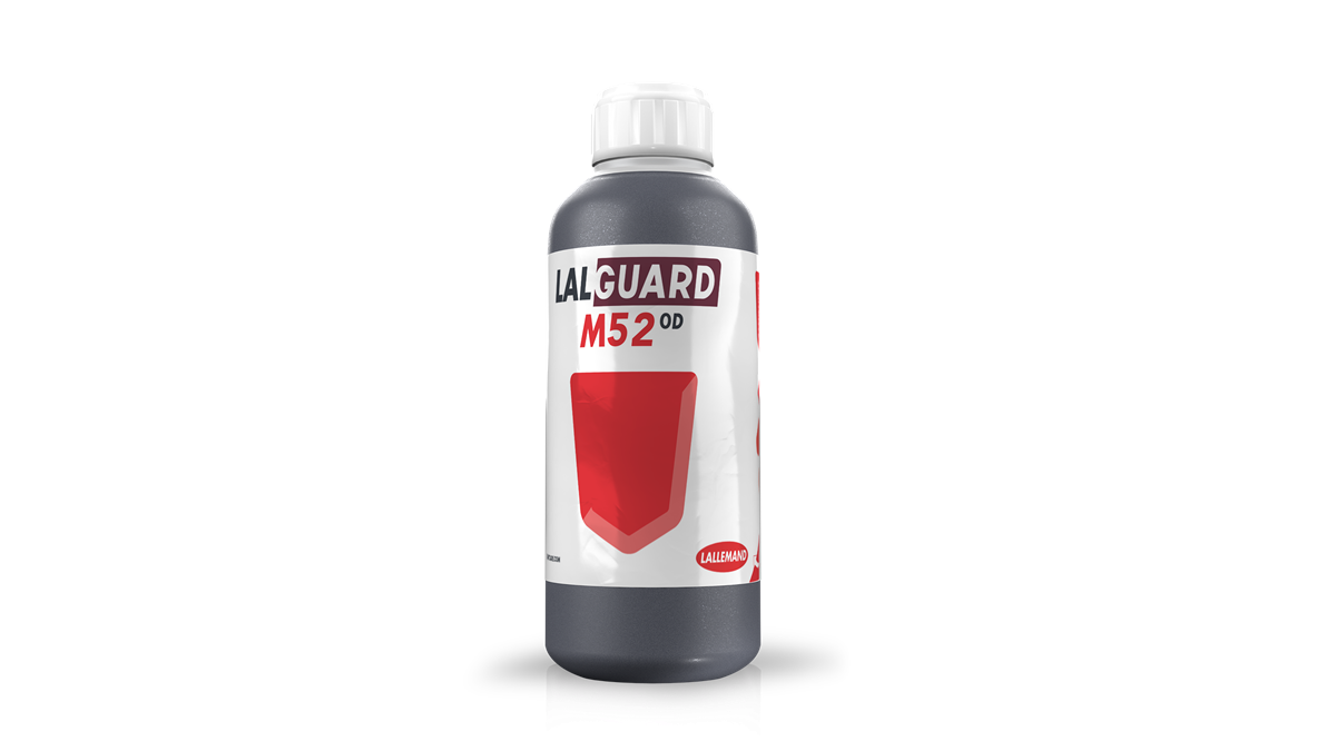 M52 OD primer registro en España a base de Metarhizium, hongo insecticida de la mano de Massó Agro.